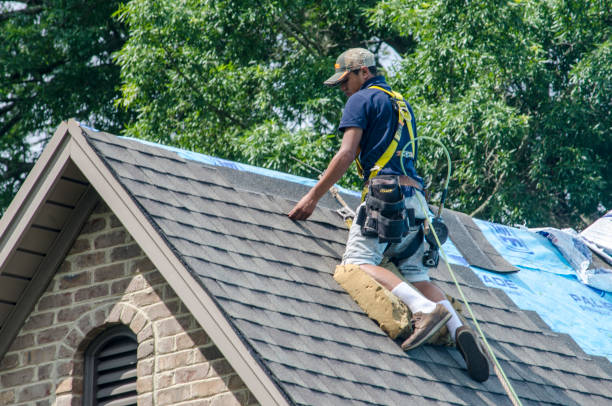 Best New Roof Installation  in Parma, ID